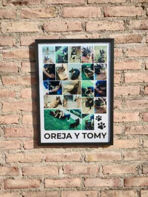 Cuadro Mosaico Personalizado de Mascota