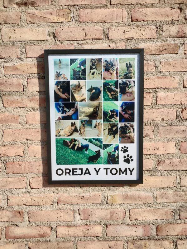 Cuadro Mosaico Personalizado de Mascota