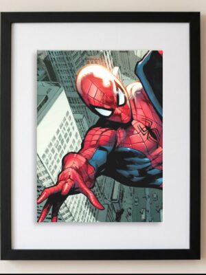 Cuadro Spiderman