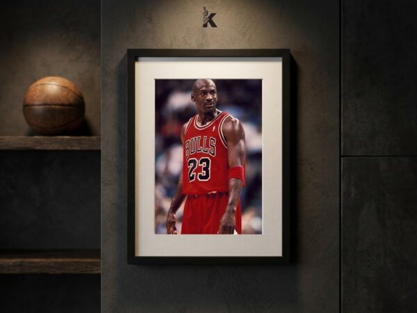 Cuadro Michael Jordan Bulls Perfil